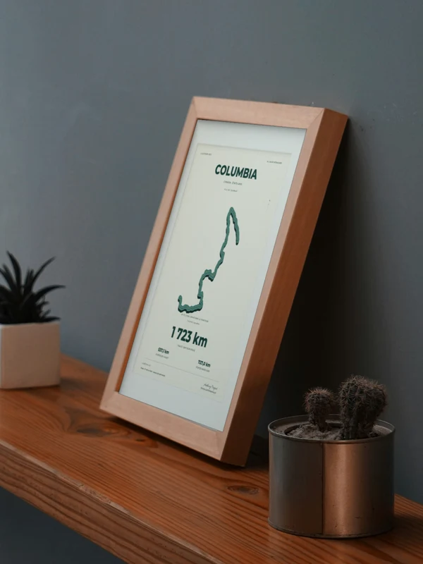 The COLUMBIA artwork digitally placed in a frame on a shelf beside plants. Framing and proportions are illustrative.