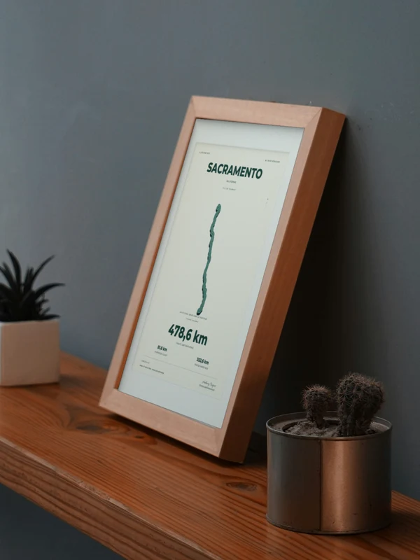 The SACRAMENTO artwork digitally placed in a frame on a shelf beside plants. Framing and proportions are illustrative.