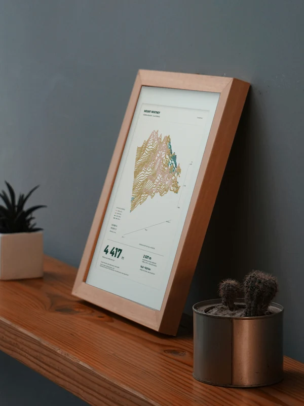 The Mount Whitney artwork digitally placed in a frame on a shelf beside plants. Framing and proportions are illustrative.