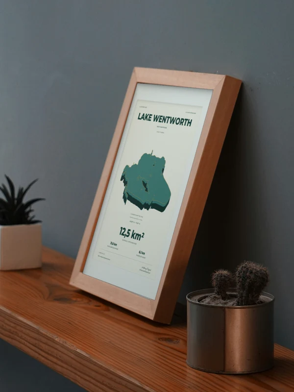 The Lake Wentworth artwork digitally placed in a frame on a shelf beside plants. Framing and proportions are illustrative.