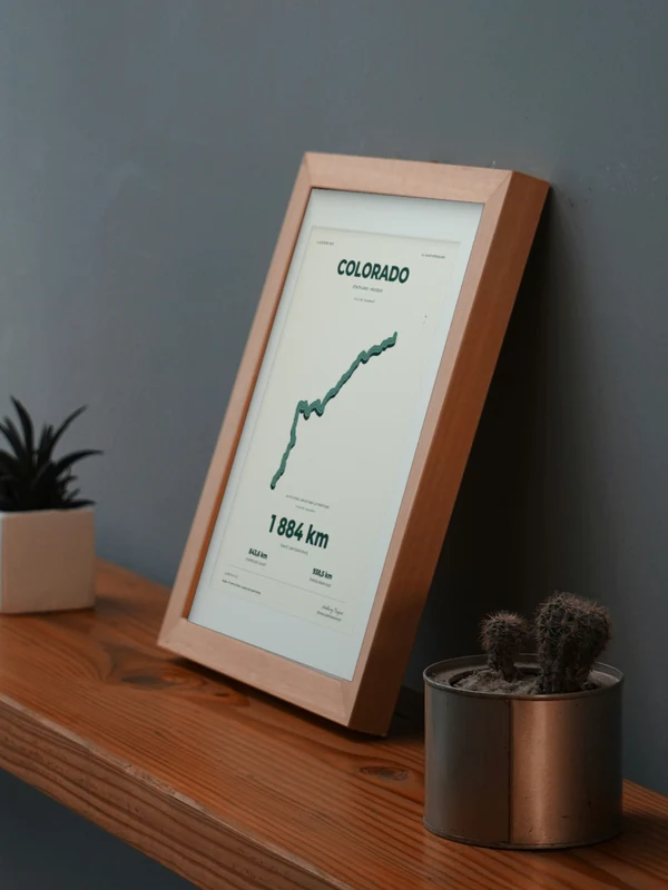 The Colorado artwork digitally placed in a frame on a shelf beside plants. Framing and proportions are illustrative.
