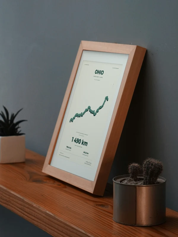 The OHIO artwork digitally placed in a frame on a shelf beside plants. Framing and proportions are illustrative.