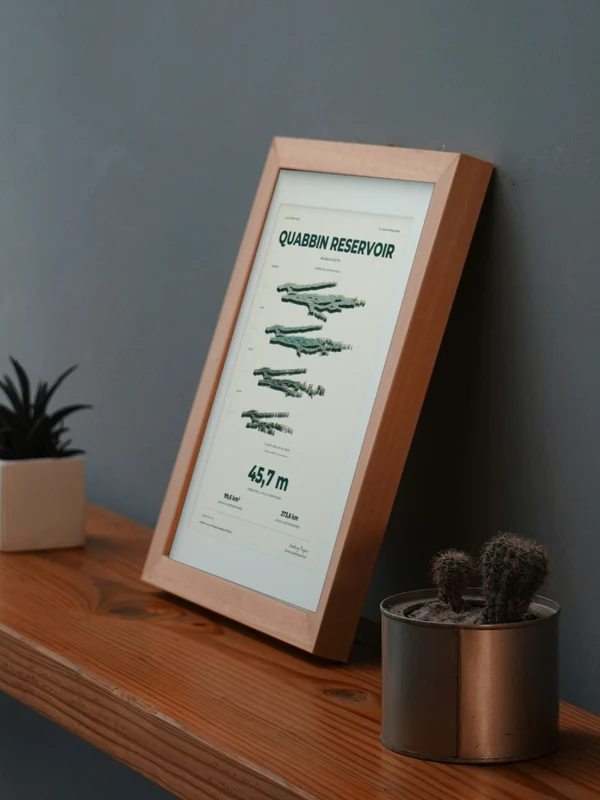 The Quabbin Reservoir artwork digitally placed in a frame on a shelf beside plants. Framing and proportions are illustrative.