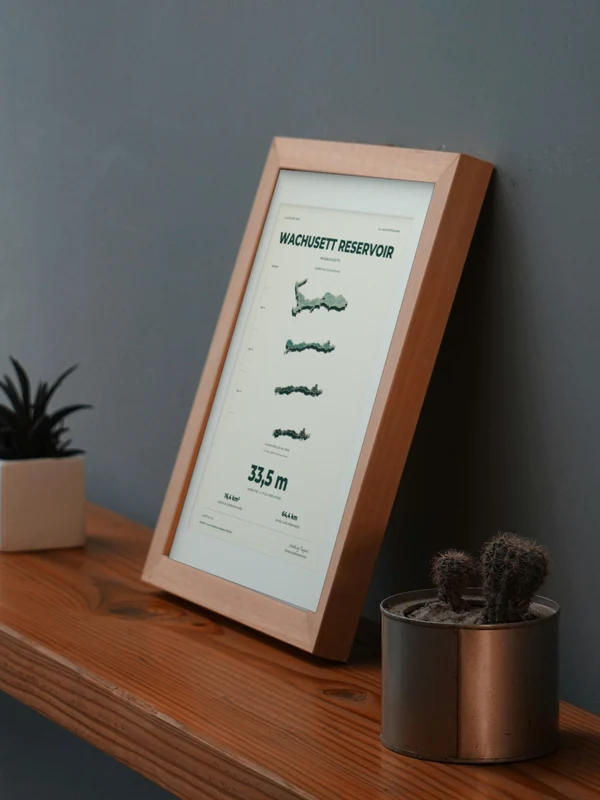 The Wachusett Reservoir artwork digitally placed in a frame on a shelf beside plants. Framing and proportions are illustrative.