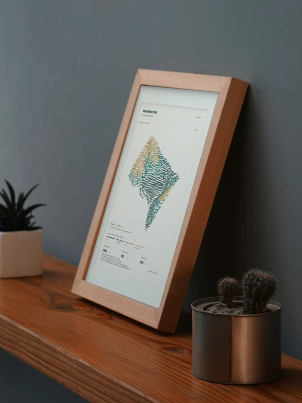 The Washington artwork digitally placed in a frame on a shelf beside plants. Framing and proportions are illustrative.