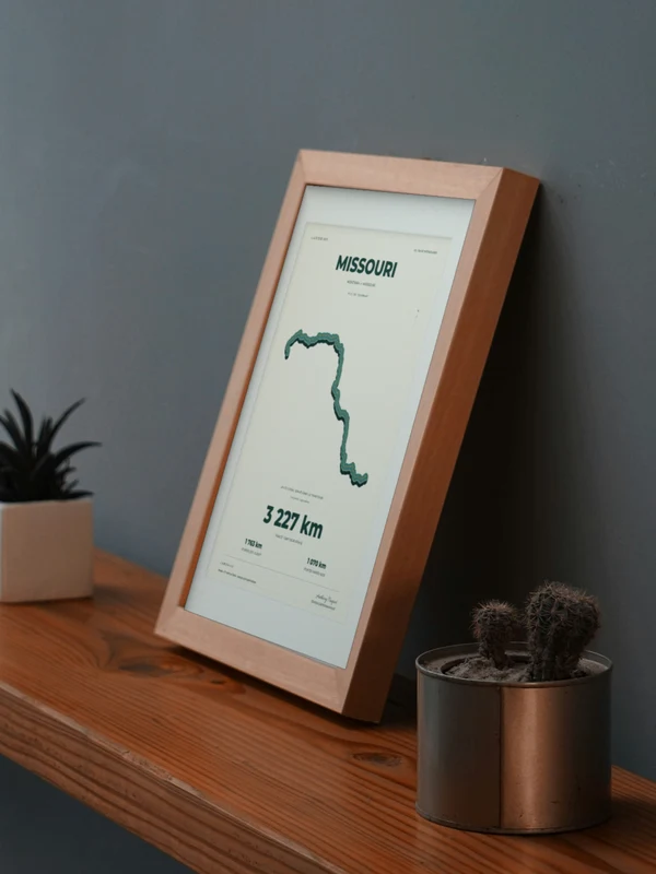 The MISSOURI artwork digitally placed in a frame on a shelf beside plants. Framing and proportions are illustrative.