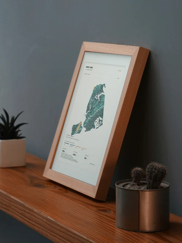 The New York artwork digitally placed in a frame on a shelf beside plants. Framing and proportions are illustrative.