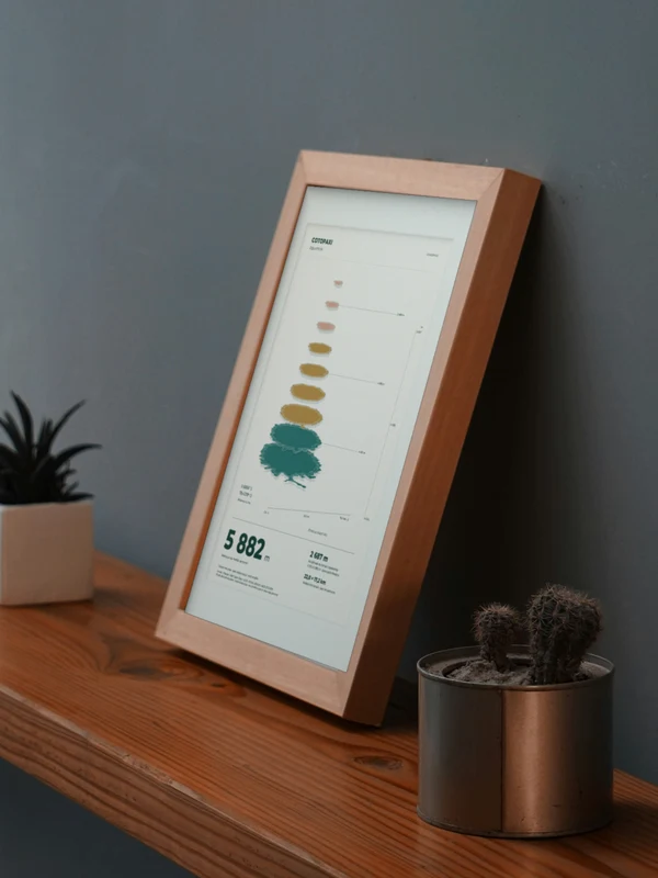 The Cotopaxi artwork digitally placed in a frame on a shelf beside plants. Framing and proportions are illustrative.