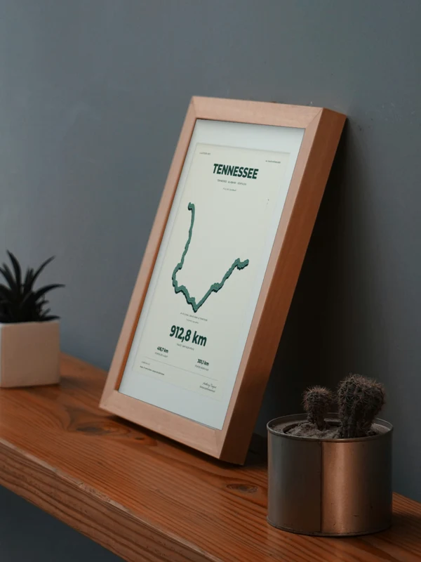 The TENNESSEE artwork digitally placed in a frame on a shelf beside plants. Framing and proportions are illustrative.