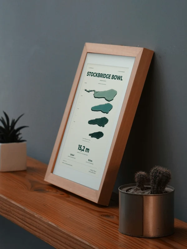 The Stockbridge Bowl artwork digitally placed in a frame on a shelf beside plants. Framing and proportions are illustrative.