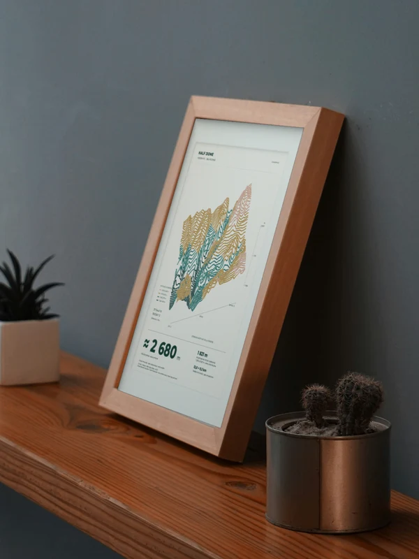 The Half Dome artwork digitally placed in a frame on a shelf beside plants. Framing and proportions are illustrative.