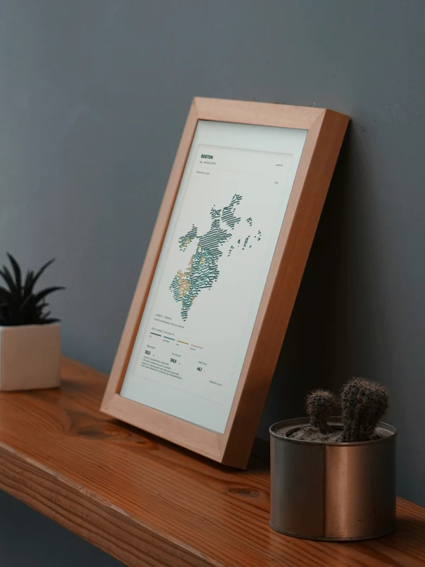 The Boston artwork digitally placed in a frame on a shelf beside plants. Framing and proportions are illustrative.