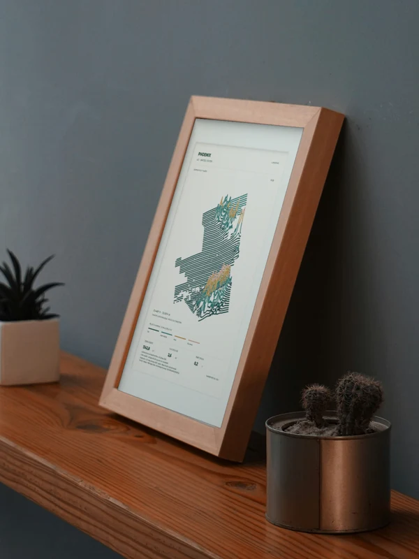The Phoenix artwork digitally placed in a frame on a shelf beside plants. Framing and proportions are illustrative.